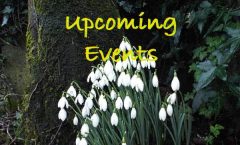 Upcoming Local and Parish Events
