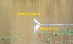 Upcoming Local and Parish Events