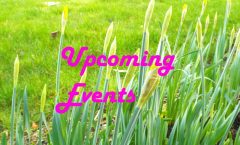 Upcoming Local and Parish Events