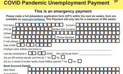 Covid Pandemic Unemployment Payment Forms