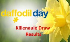Daffodil Day Draw
