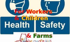 Health and Safety and C--19